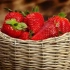 5 Чекори до невидена жетва на јагоди